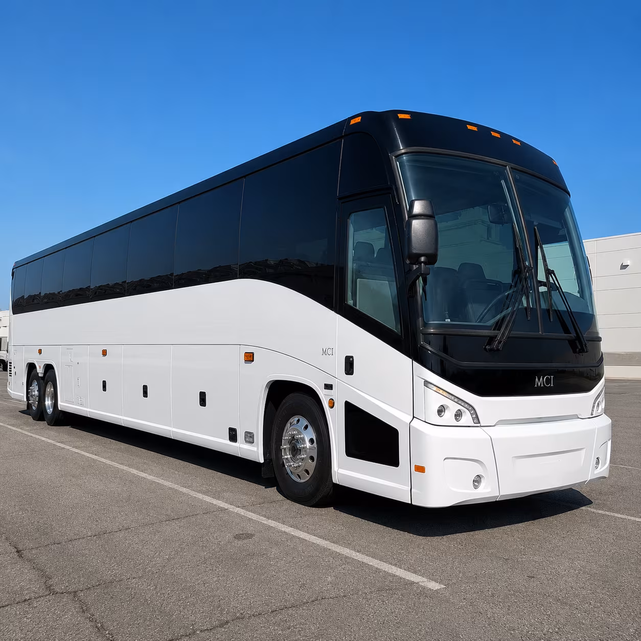 charter buses for denver zoo field trips from thornton schools